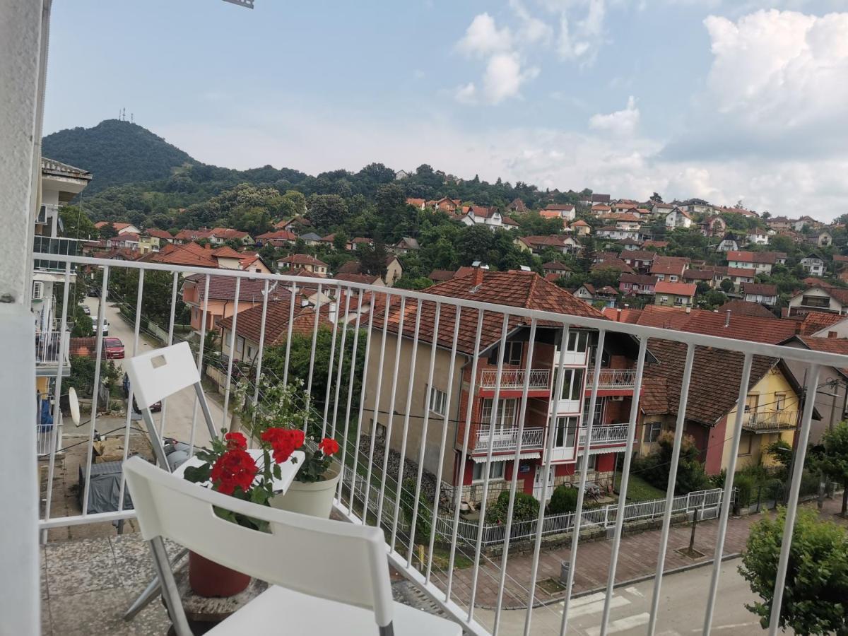 Faris Appartement Donji Milanovac Buitenkant foto