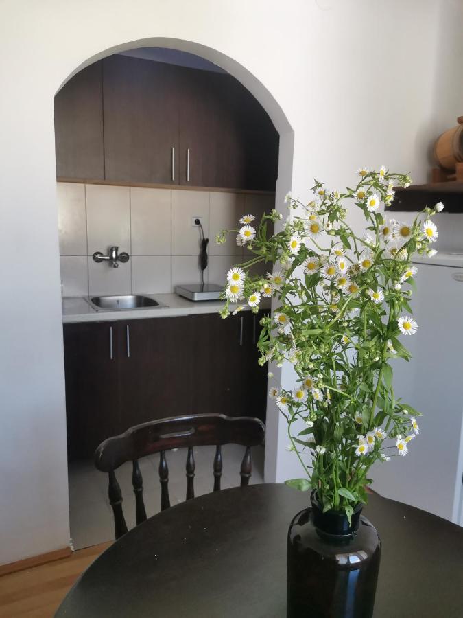 Faris Appartement Donji Milanovac Buitenkant foto