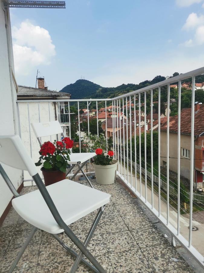 Faris Appartement Donji Milanovac Buitenkant foto